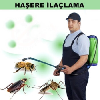 Mengen Böcek İlaçlama